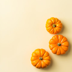 Autumn fall thanksgiving day composition with decorative orange pumpkins