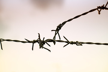 The abstract art design bacckground of old barb wire at middle of background,vintage and art tone,