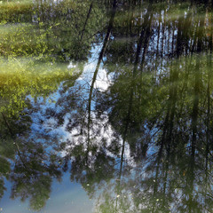 Lac d'automne - reflets - 6