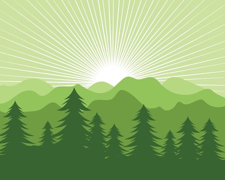 landscape pines tree and mountain vector illustration design © sangidan