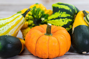 Pumpkins. Season. Autumn. Colorful. Various. Vegetable. Fall