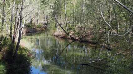 Lac d'automne - reflets - 4