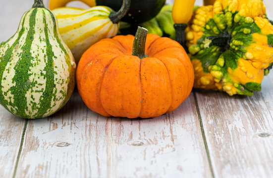 Pumpkins. Vegetable. Season. Various. Autumn. Colorful. Fall