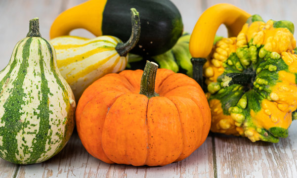 Pumpkins. Vegetable. Various. Season. Autumn. Colorful. Fall