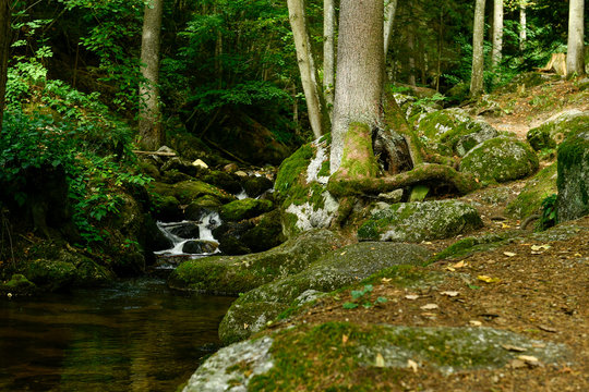 a hike through the wild Ysperclammy