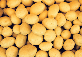 Fresh potato at the market. Food background concept