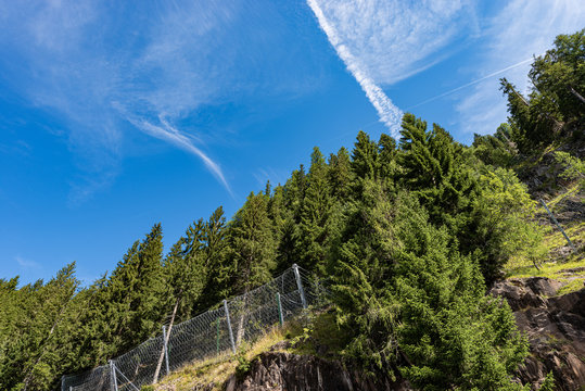 Green pine forest and rockfall barriers with wire mesh in mountain, Italian Alps, Trentino Alto Adige, Italy, Europe