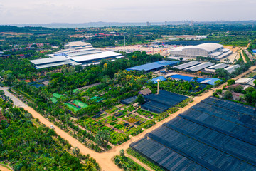 Aerial view of tropical garden in Chonburi province, Thailand. Aerial view from drone