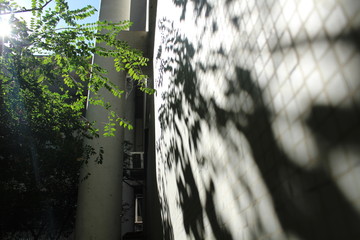 ufrj