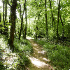 Obraz premium Rocamadour - Vallée de l'Alzou - 2