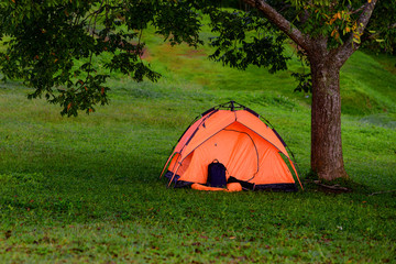 orange tent under tree laying to stay over night prepareed by traveller