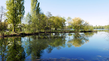 Fototapeta na wymiar Reflets d'arbres dans un lac à Tours 1