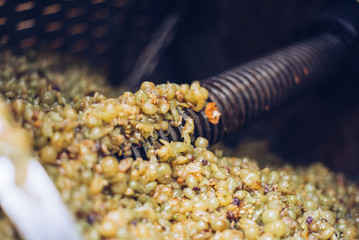 Green grapes in the wine press where the juice will be pressed leaving the skins and seeds behind