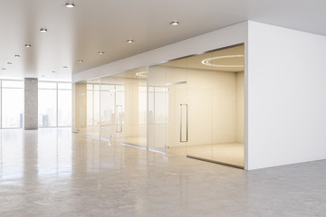 Business spacious office interior