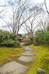 Pathway in japan garden.