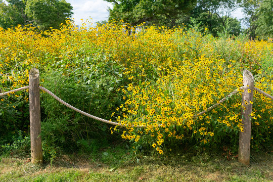 Rope Fence Photos Royalty Free Images Graphics Vectors Videos Adobe Stock