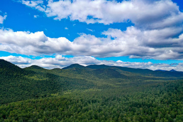 Fototapeta premium default