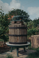 Obraz premium Traditional wine making