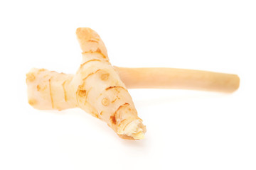 Closeup image of thailand ginger - galangal root isolated at wite background.