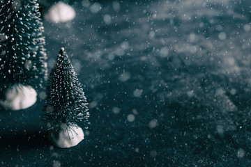 Winter snow on bottle brush trees, copy space for Christmas season concept.
