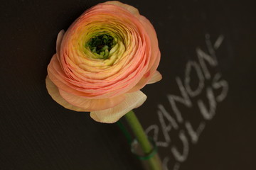 Festive table decoration with flowers at a wedding exhibition