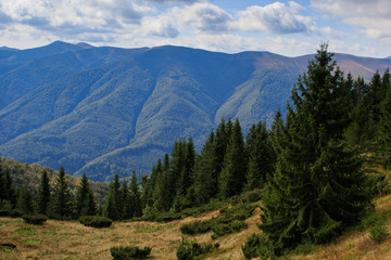 Obraz premium Carpathian mountains in early autumn around the village of Kolochava, Ukraine