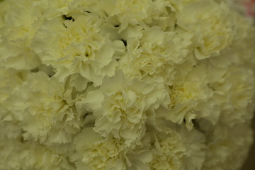 Festive table decoration with flowers at a wedding exhibition