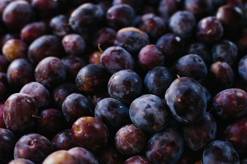 Macro Photo food fruit plums. Texture background of fresh blue plums. Image fruit product blue plums