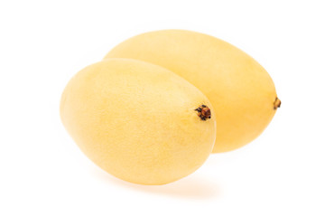 Closeup image of two fresh yellow mango isolated at white background.