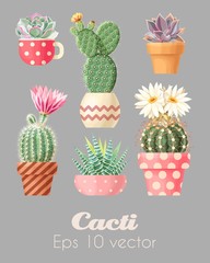 Vector illustration set of high detailed cacti © olga_igorevna