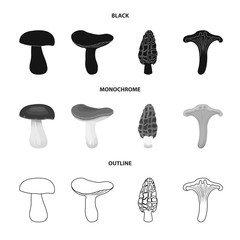 Vector design of raw and summer icon. Collection of raw and ingredient stock vector illustration.