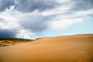 Fototapeta na wymiar Sand dune in a desert with dark clouds