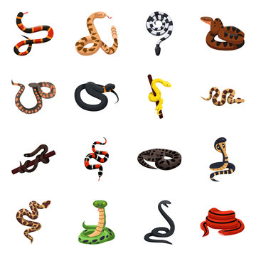 Vector design of snake and creepy logo. Set of snake and danger vector icon for stock.