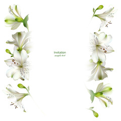 White flowers. Floral background. Leaves. Lilies.