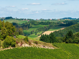 Weinberge in der Südsteiermark, Österreich, im Spätsommer