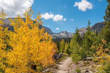 Autumn in the Rocky Mountain National Park 03