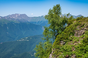 Trees on a rocky cliff against the background of a valley and high mountains