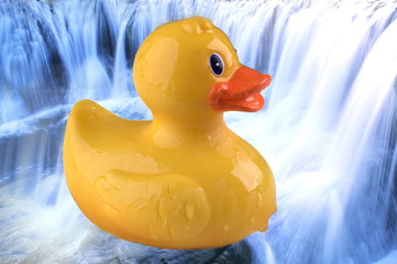 Badeente orange Ente * Gummiente Quietscheente