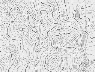 Topographic Map Vector Background - 291544631