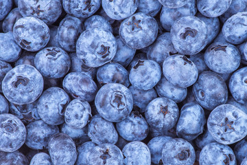 Fresh Blueberry Background. Texture blueberry berries close up. Various fresh summer berries. Blue food.