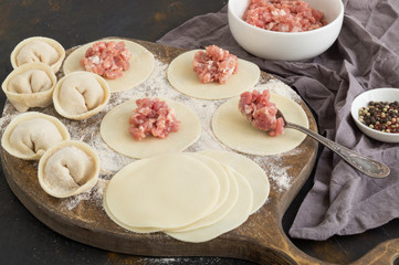 Modeling of homemade meat dumplings. ingredients for cooking dumplings.