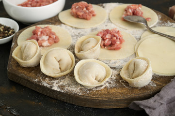 Fototapeta na wymiar Modeling of homemade meat dumplings. ingredients for cooking dumplings.