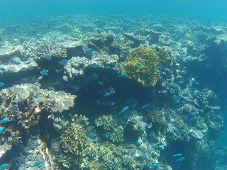 australia