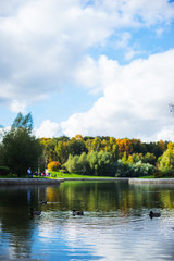 Obraz premium City park in the fall. City landscape in the fall season.