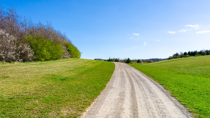 Fototapeta na wymiar Gravel Pathway/Walkway at Herrington Country Park in Sunderland. Image features blue morning spring sky with lush green grass either side of a gravel path with trees to the left and in the distance.