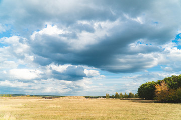 Fototapeta premium panorama of the summer landscape in the field