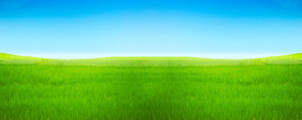 Panorama green grass field and mountain hills meadow blue sky freshness with sunny sky cloud