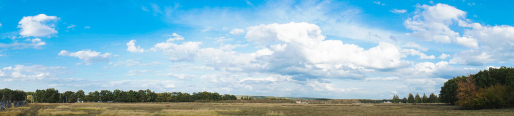 panorama of the summer landscape in the field