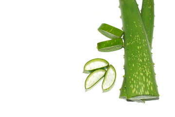 Aloe vera sliced and spoon isolated on white background copy space