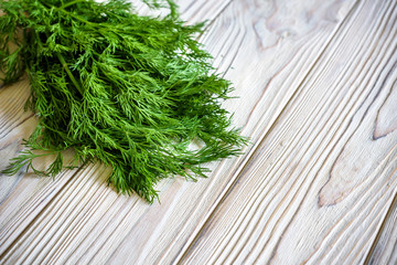 Bunch of dill isolated on a wooden background with space for text. Top view. Selective focus. Food for vegetarians